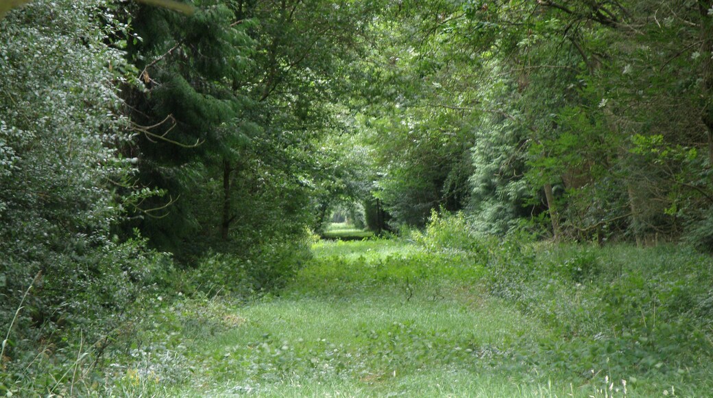Ride through Upton Wood The quiet side of the wood, as the opposite end of this ride is the A1M.