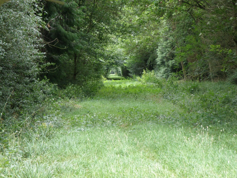 Ride through Upton Wood The quiet side of the wood, as the opposite end of this ride is the A1M.