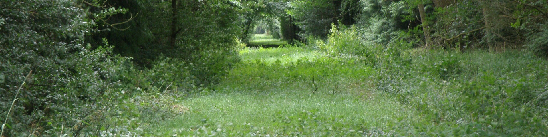 Ride through Upton Wood The quiet side of the wood, as the opposite end of this ride is the A1M.