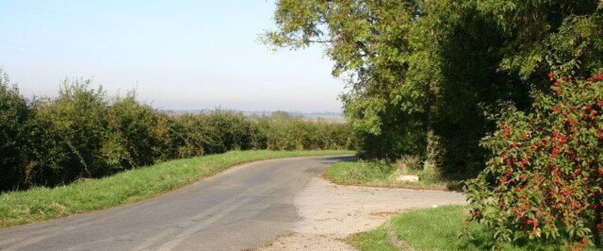 A rural road curving through a green landscape with trees and bushes.