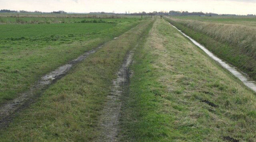 Foote's Drove End of Foote's Drove, Cowbit