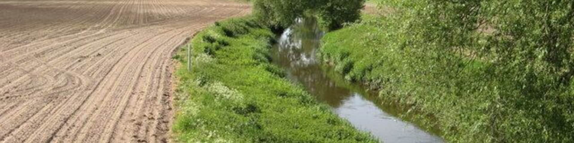River Tern. The river tern at Crudgington.