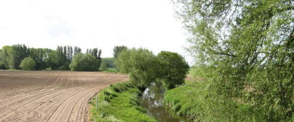A river meandering through a field with a dirt path on one side and dense greenery on the other.