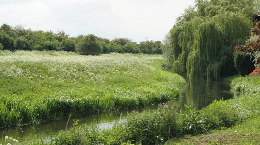 River Welland The gardens on the southwest side of the main street through Deeping St James go right down to the river. The Welland isquite narrow at this point. In TF1707 the Maxey Cut, the Fally River Drain and the South Drain flow into the river making it much wider.