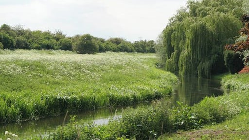River Welland The gardens on the southwest side of the main street through Deeping St James go right down to the river. The Welland isquite narrow at this point. In TF1707 the Maxey Cut, the Fally River Drain and the South Drain flow into the river making it much wider.
