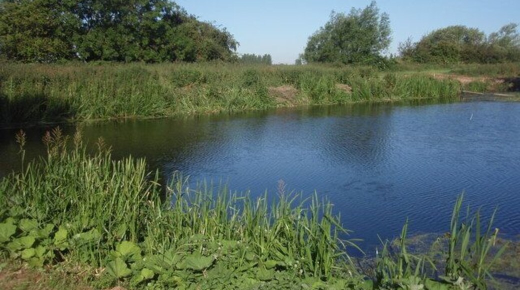 River Welland Photo taken from the top of Scout Island, where the Welland forks into two separate channels (which join back into one a little further downstream). Low Locks weir and bridge is located behind the position from, which this photograph was taken.