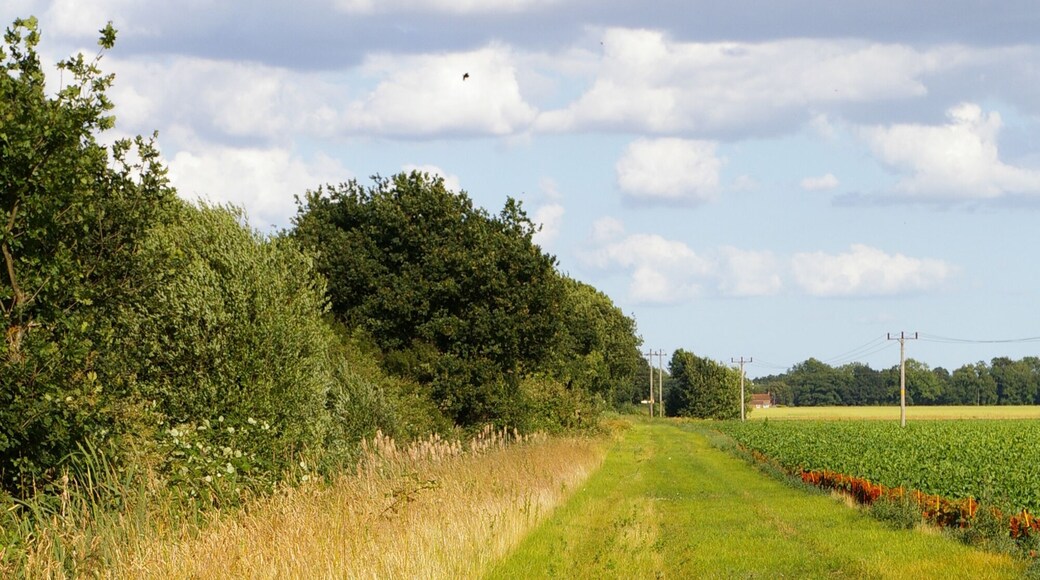 Track beside the former railway The row of trees on the left marks the route of the former railway line. This track parallels it and is a permissive footpath. There are buildings on the other side of the railway, but they're hard to see through the trees.