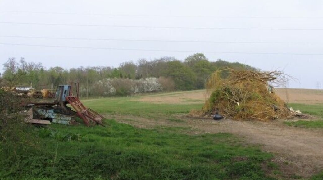 Footpath by Auster Wood