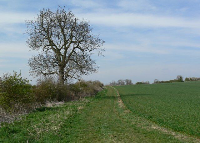 Rutland Round footpath Also marking the county boundary of Leicestershire to the left and Rutland to the right.