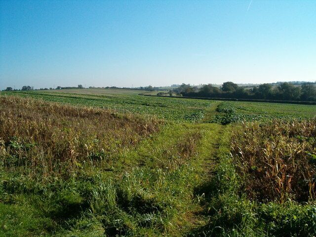 Farmland View A view across the fields at Petsoe Manor Farm