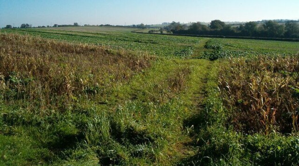 Farmland View A view across the fields at Petsoe Manor Farm