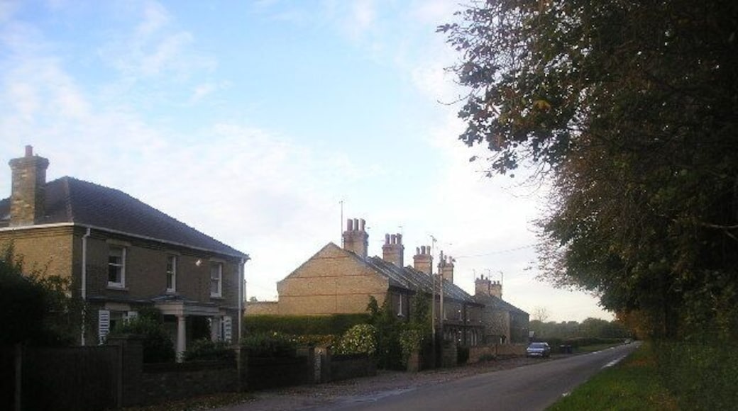 Cotton End Road. Looking NE, with Exning behind