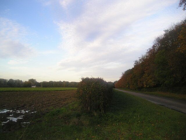 Landwade Road. Looking N along Landwade Rd. Philips Cottages can be seen across the field