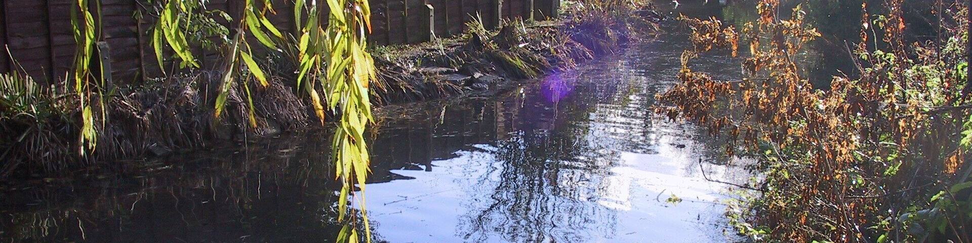 New River at Exning New River rises up from the Seven Springs in Newmarket and flows through Exning, Landwade, Fordham, Burwell and Wicken (where it joins Monk's Lode). Here it is quite narrow and shallow, with houses backing onto one side and a paddock on the other.