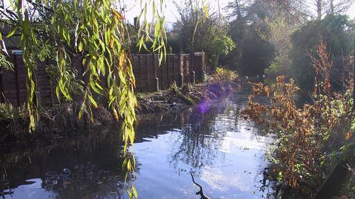 New River at Exning New River rises up from the Seven Springs in Newmarket and flows through Exning, Landwade, Fordham, Burwell and Wicken (where it joins Monk's Lode). Here it is quite narrow and shallow, with houses backing onto one side and a paddock on the other.