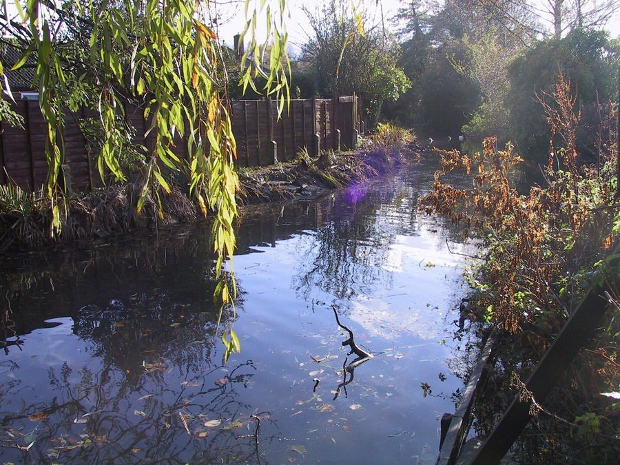 New River at Exning New River rises up from the Seven Springs in Newmarket and flows through Exning, Landwade, Fordham, Burwell and Wicken (where it joins Monk's Lode). Here it is quite narrow and shallow, with houses backing onto one side and a paddock on the other.