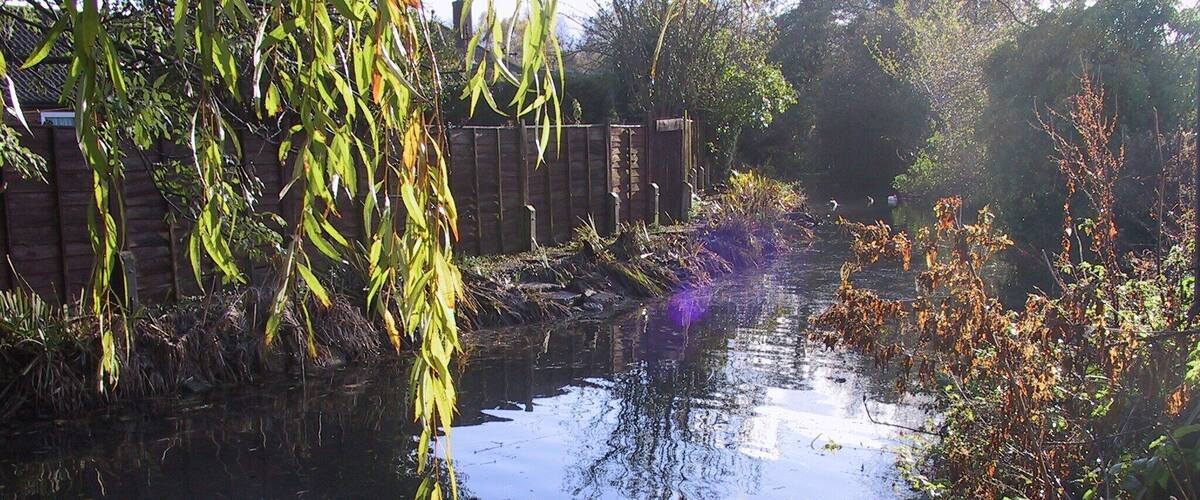 A calm waterway with willow trees and a wooden fence in the background.