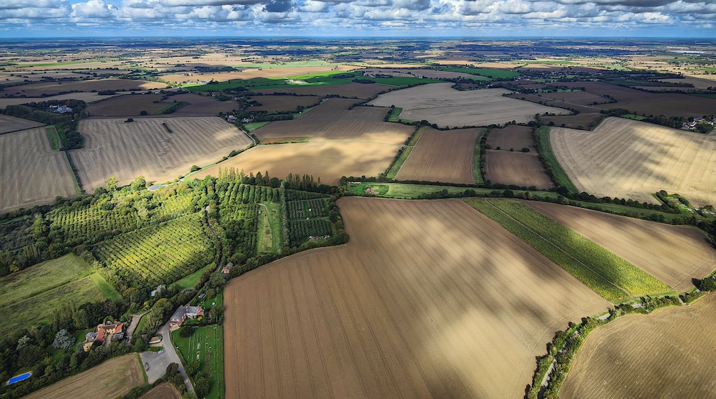 An aerial view of a rural landscape with fields, trees, and scattered houses.