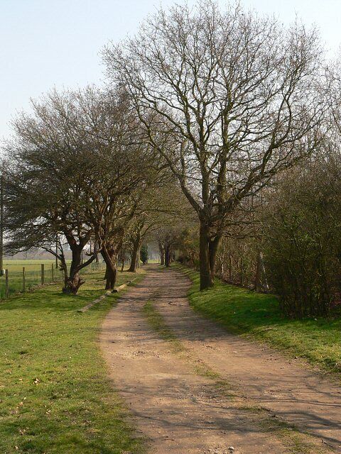 Avenue leading from Faith Chapel Tree-lined lane viewed from Faith Chapel