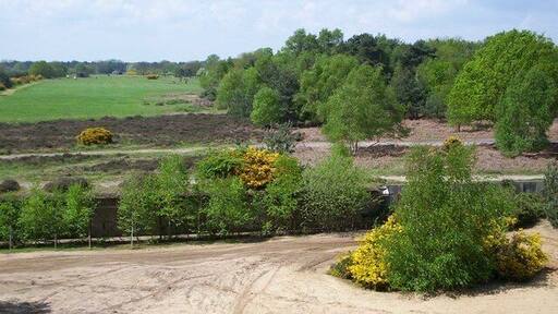 Rendlesham Forest rifle butts The view from the butts shows the target hoist area and adjacent heathland.