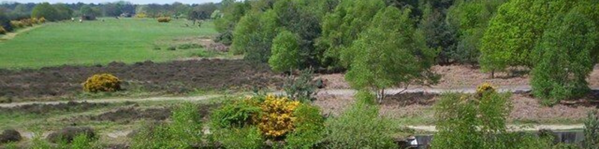 Rendlesham Forest rifle butts The view from the butts shows the target hoist area and adjacent heathland.