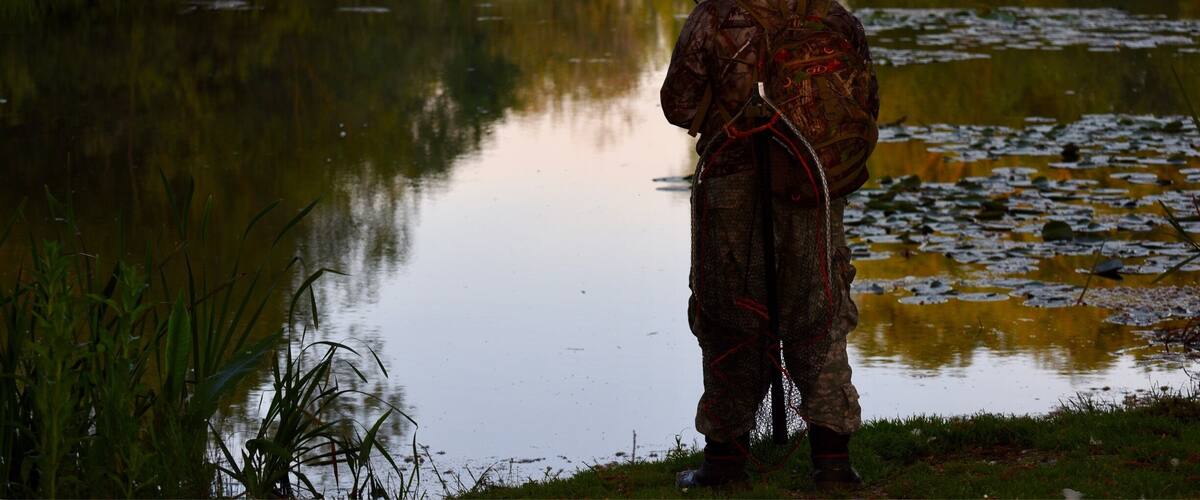 A person fishing by a calm river surrounded by greenery.