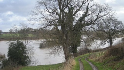 Track beside the flooded River Severn (Jan' 2008)