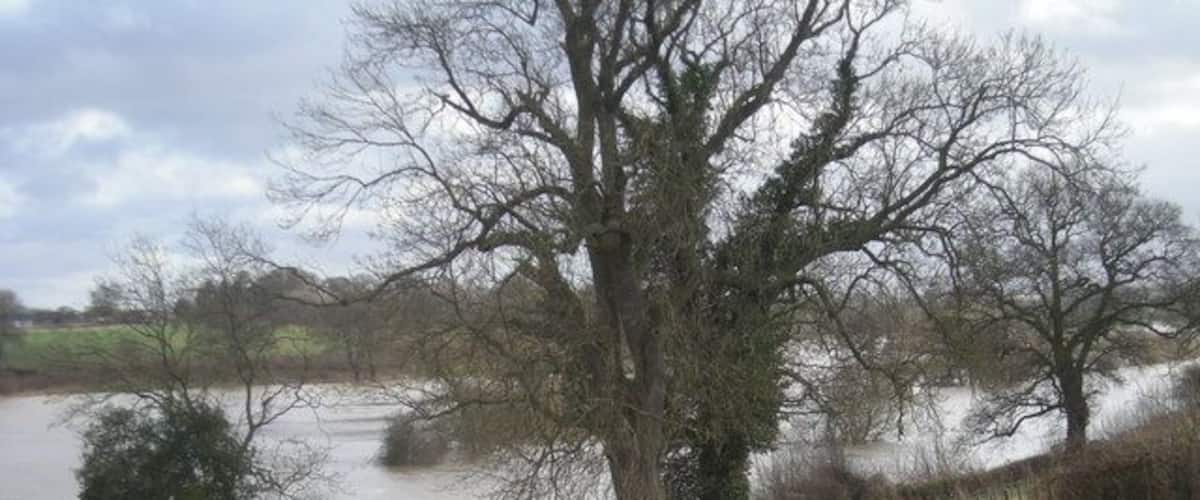 A muddy path beside a river, surrounded by trees and a fence.