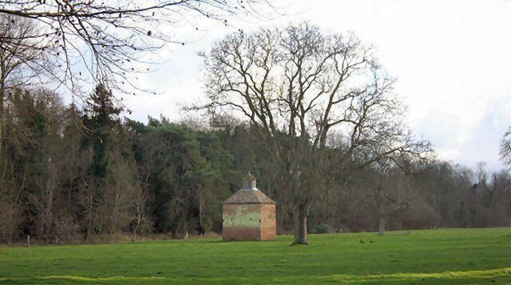 Grounds of Fordham Abbey Viewed from River Lane, Fordham. Whilst the foreground is in the same square as the photographer, the dovecot sits astride a grid line, with Hall Yard Wood behind in the adjacent square.