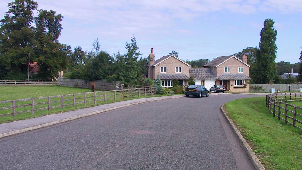 Une rue résidentielle bordée de maisons, avec un cheval et des voitures garées.
