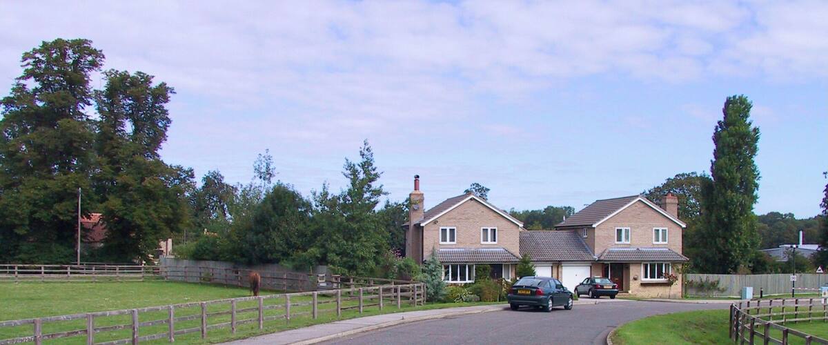 A residential street with houses, a horse, and parked cars.