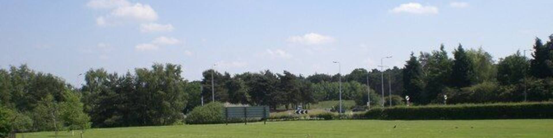 Roundabout at junction of A149, A1076 and B1145 View from grounds of Queen Elizabeth Hospital, King's Lynn