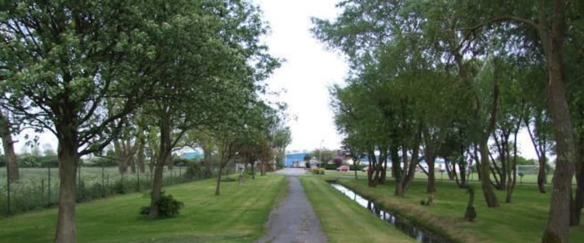 A paved path flanked by trees and a narrow water channel.