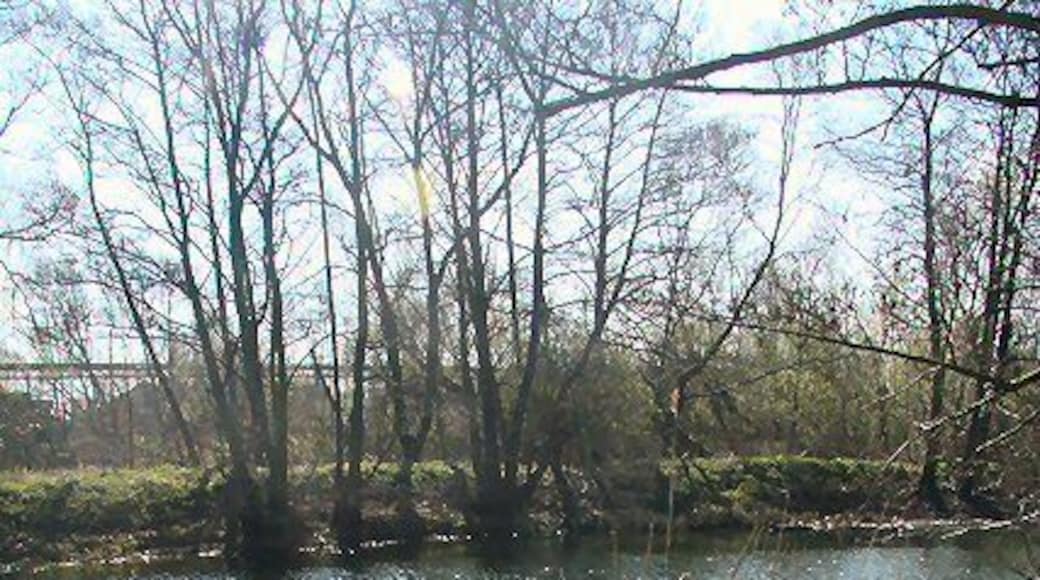 Sparkling River Gipping Looking downstream between Sharmford Lock and Great Blakenham.