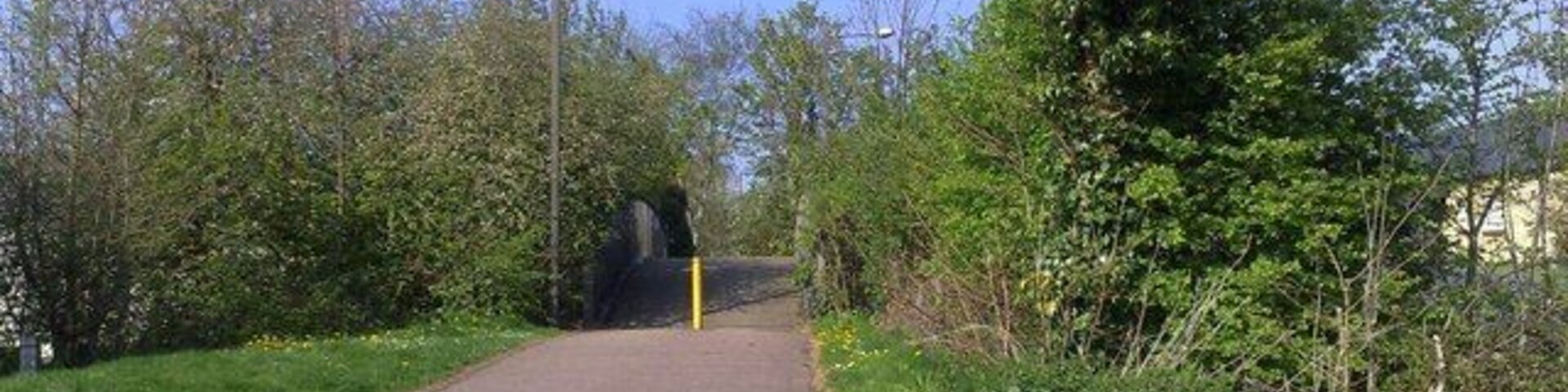 Un sendero pavimentado que conduce a la entrada de un túnel, rodeado de follaje y árboles.