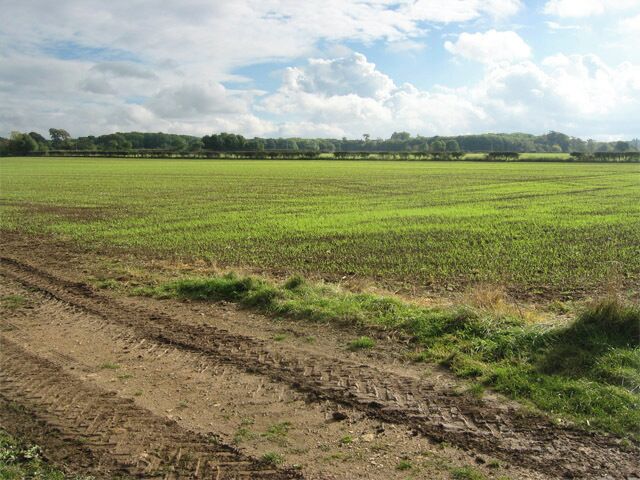 Farmland near Great Ponton.