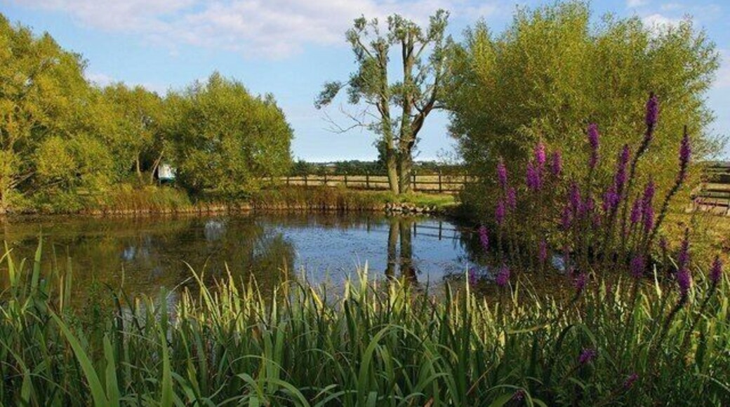 Wildlife Pond. This is the pond at the rear of 55336 the HQ of the Essex Wildlife Trust see http://www.essexwt.org.uk/