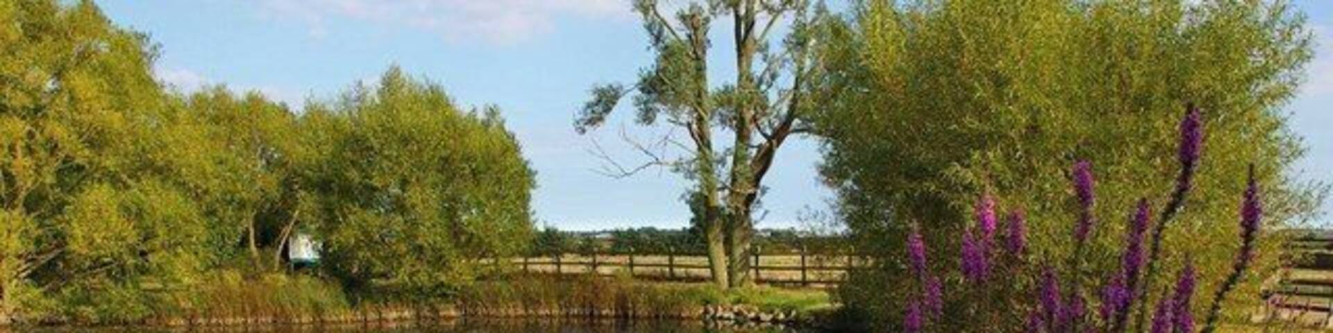 Wildlife Pond. This is the pond at the rear of 55336 the HQ of the Essex Wildlife Trust see http://www.essexwt.org.uk/