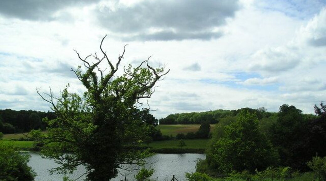 View across the lake, Grundisburgh Hall Park