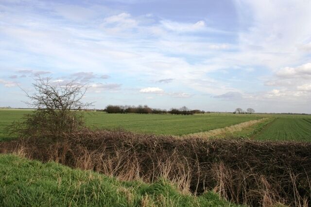 A rural landscape with a field, a hedge, and a clear sky.