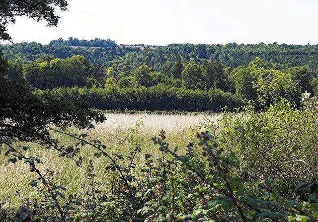 Plantations. The view from Gravel Hill with the Burwell and Claypit Plantations in view.