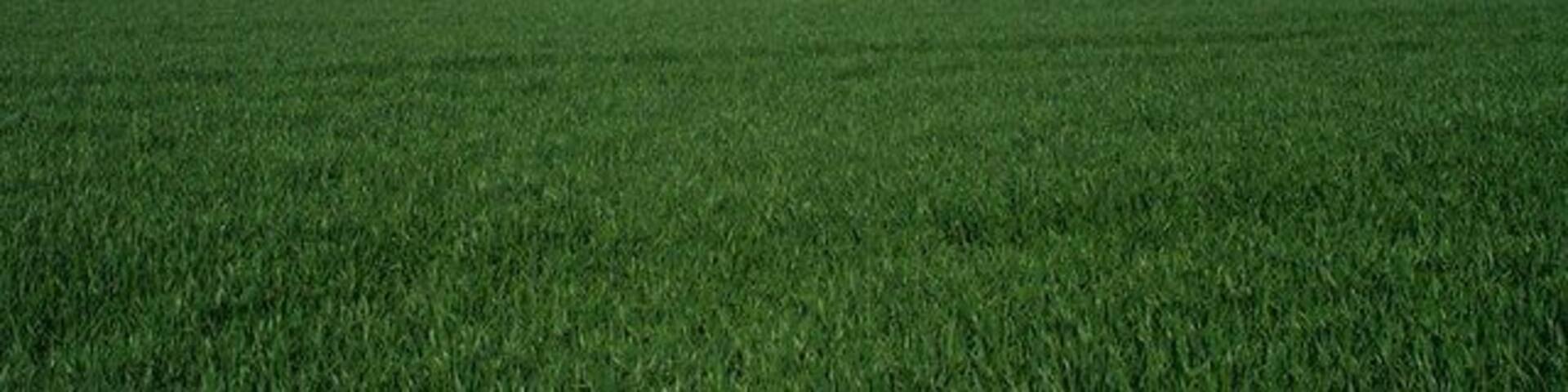 North of Hexton (LCA 218) 2004. Compare with the photo taken at this location previously 426706 No substantive change in landscape condition/character.