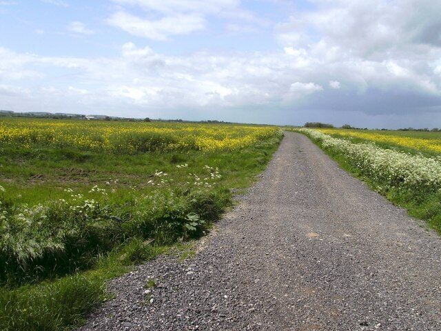 Combined footpath and track. From the same location as 456342 but looking west the footpath continues using the route of the track.