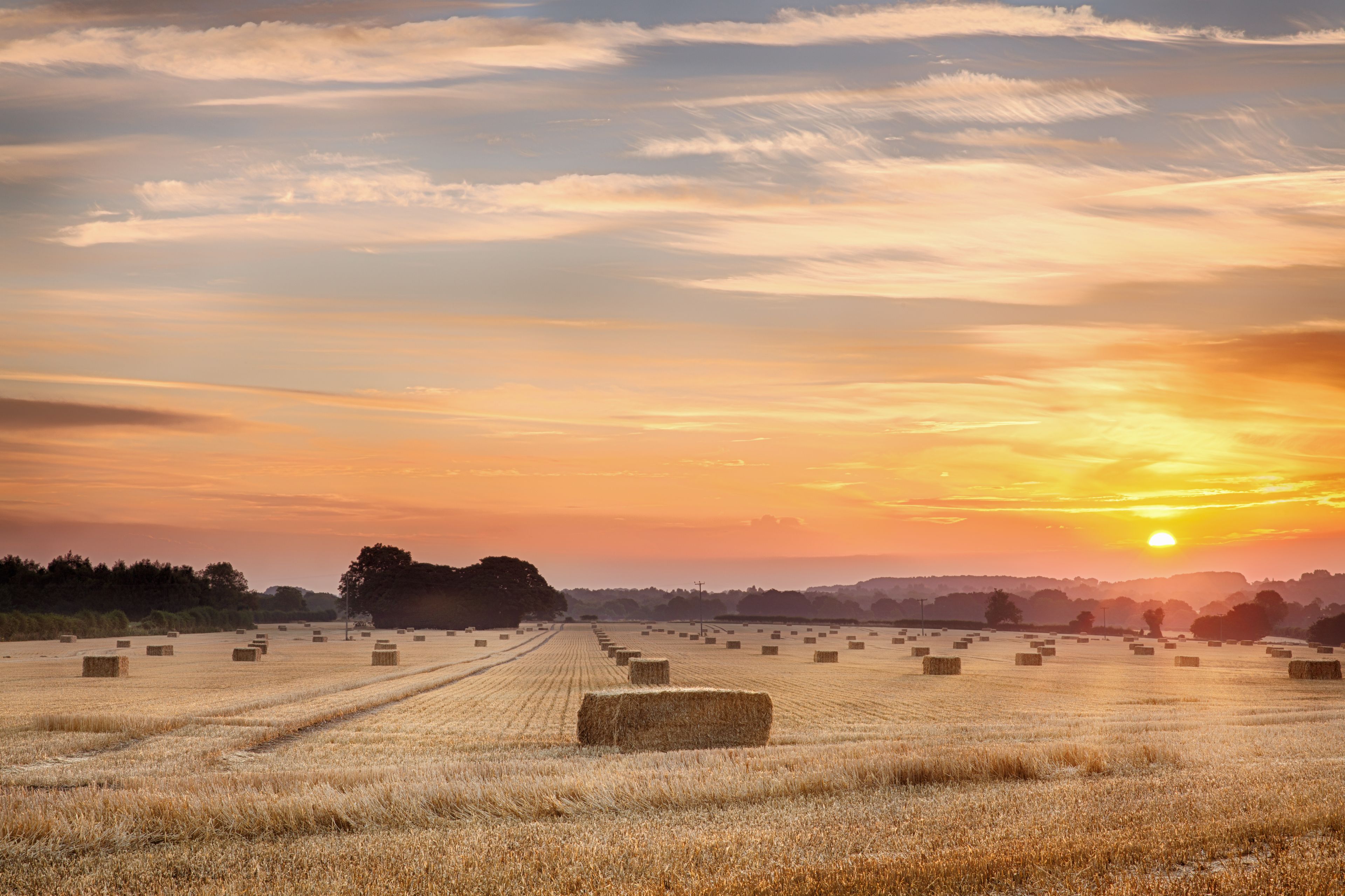 A sunset over a field of hay bales.