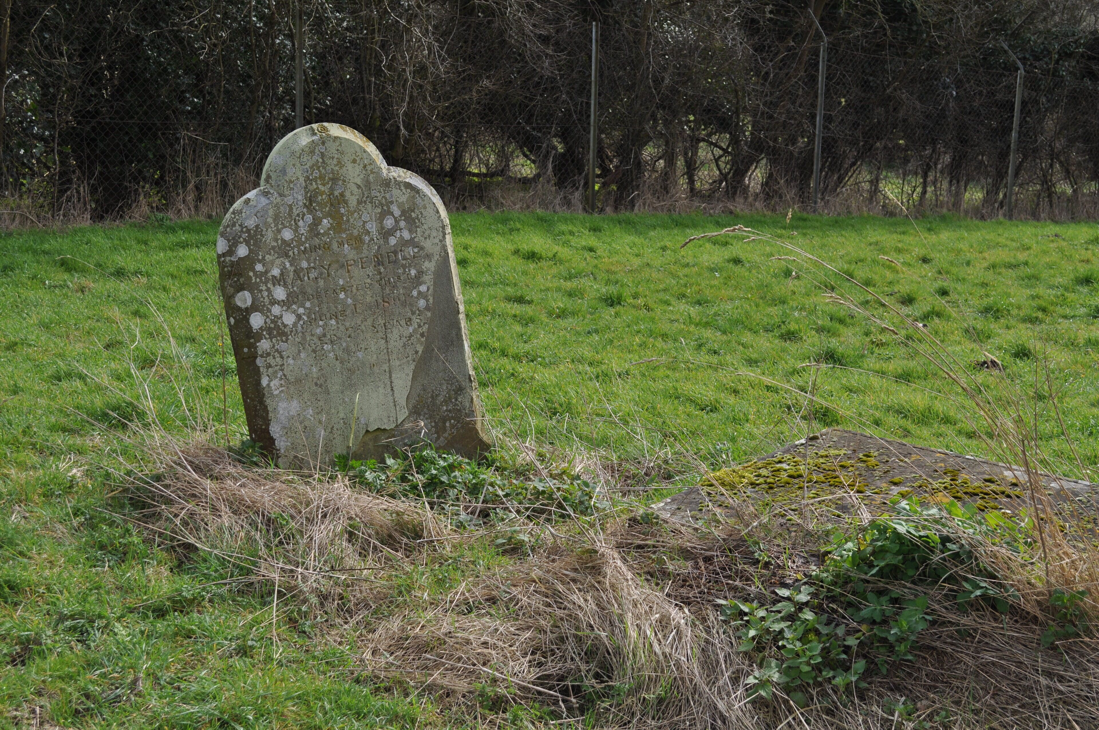 St. Andrew Church, Langford - churchyard This is the churchyard at St. Andrew Church, Langford. This church is situated inside the STANTA military battle training area and I visited on 26th March 2010 with special permission from the MoD. The area was originally established in 1942 when a battle training area was required. Military exercises were already known in the area; tanks had trained at Thetford in the First World War. The complete takeover involved the evacuation of the villages of Buckenham Tofts, Langford, Stanford, Sturston, Tottington and West Tofts. All residents were evactuated in 1942.