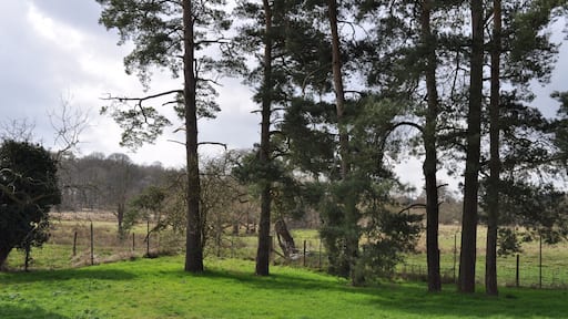 St. Andrew Church, Langford This is a corner of the churchyard at St. Andrew Church, Langford. This church is situated inside the STANTA military battle training area and I visited on 26th March 2010 with special permission from the MoD. The area was originally established in 1942 when a battle training area was required. Military exercises were already known in the area; tanks had trained at Thetford in the First World War. The complete takeover involved the evacuation of the villages of Buckenham Tofts, Langford, Stanford, Sturston, Tottington and West Tofts. All residents were evactuated in 1942.