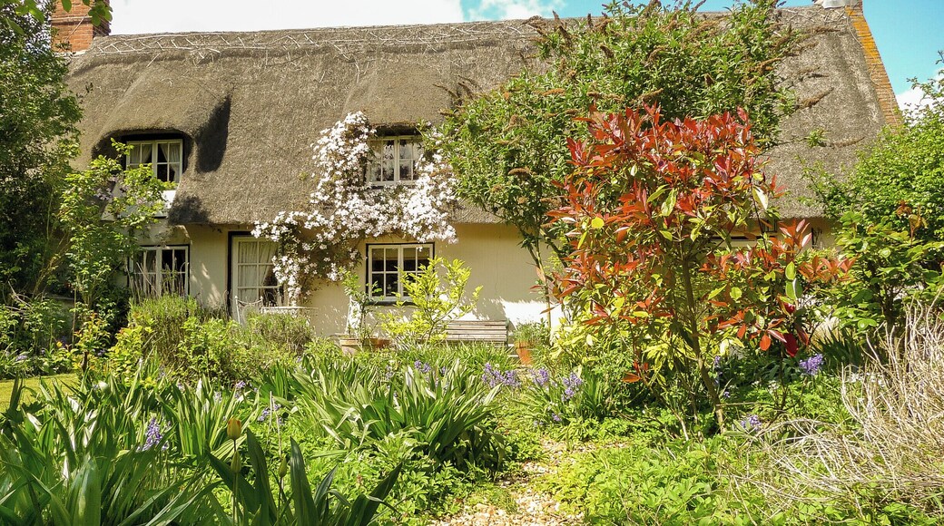 2009: A thatched cottage in Ickburgh, UK.