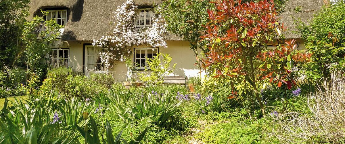 2009: A thatched cottage in Ickburgh, UK.