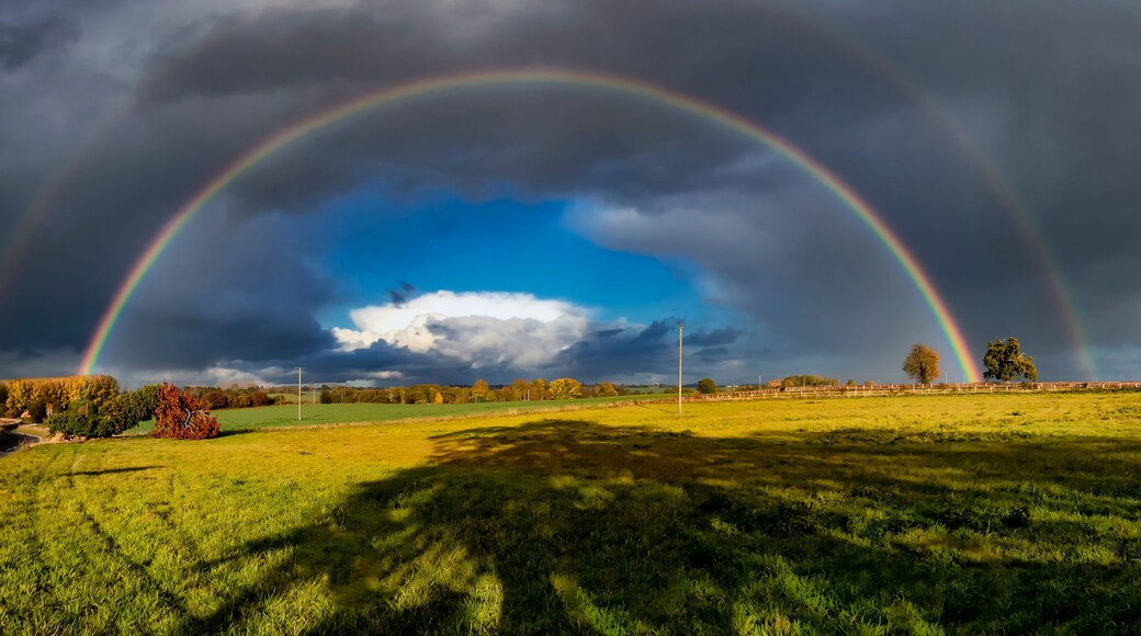 A landscape with a double rainbow over a field, a cloudy sky, and a few trees.