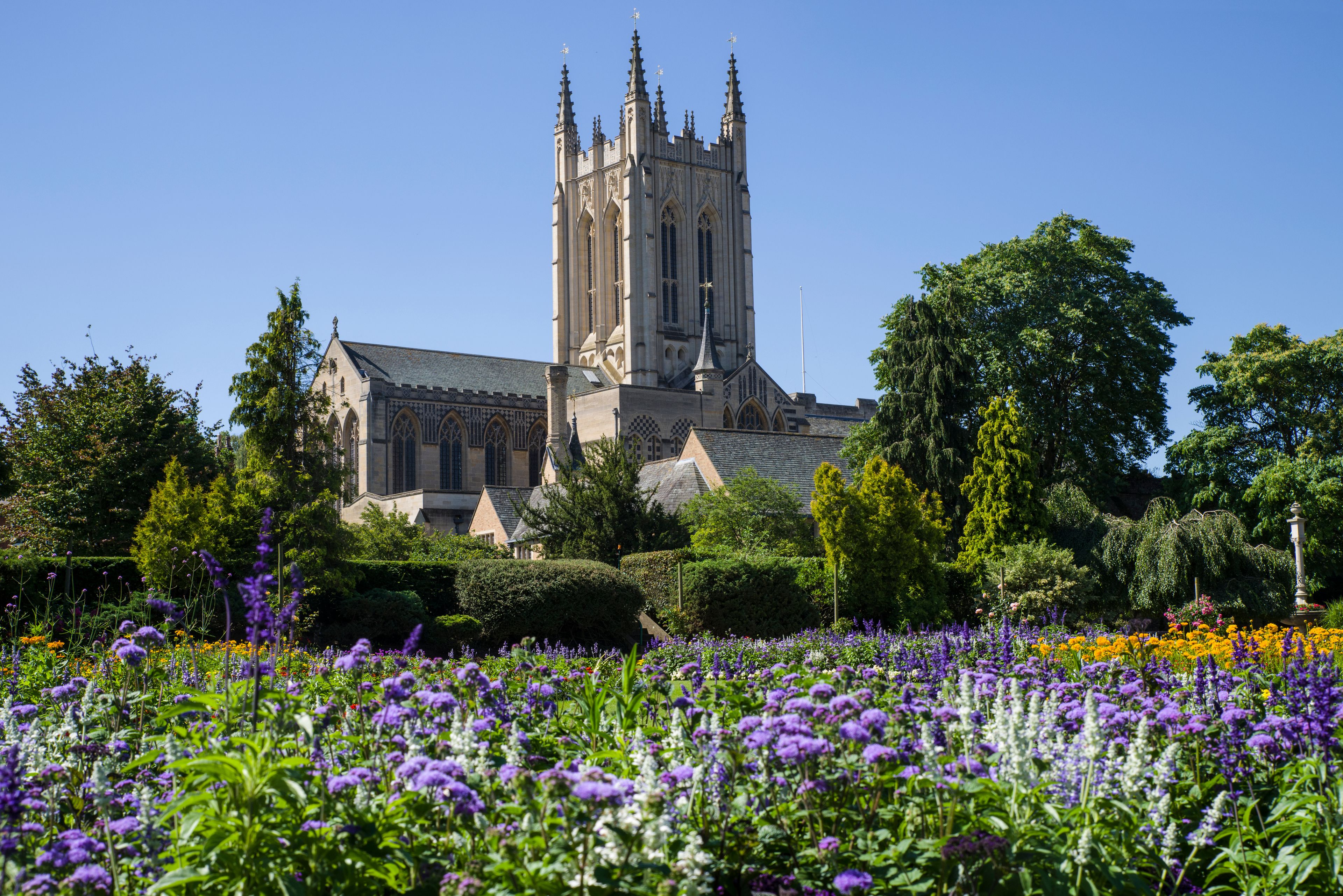 A historic cathedral with a tall spire, surrounded by a vibrant garden with purple and yellow flowers.